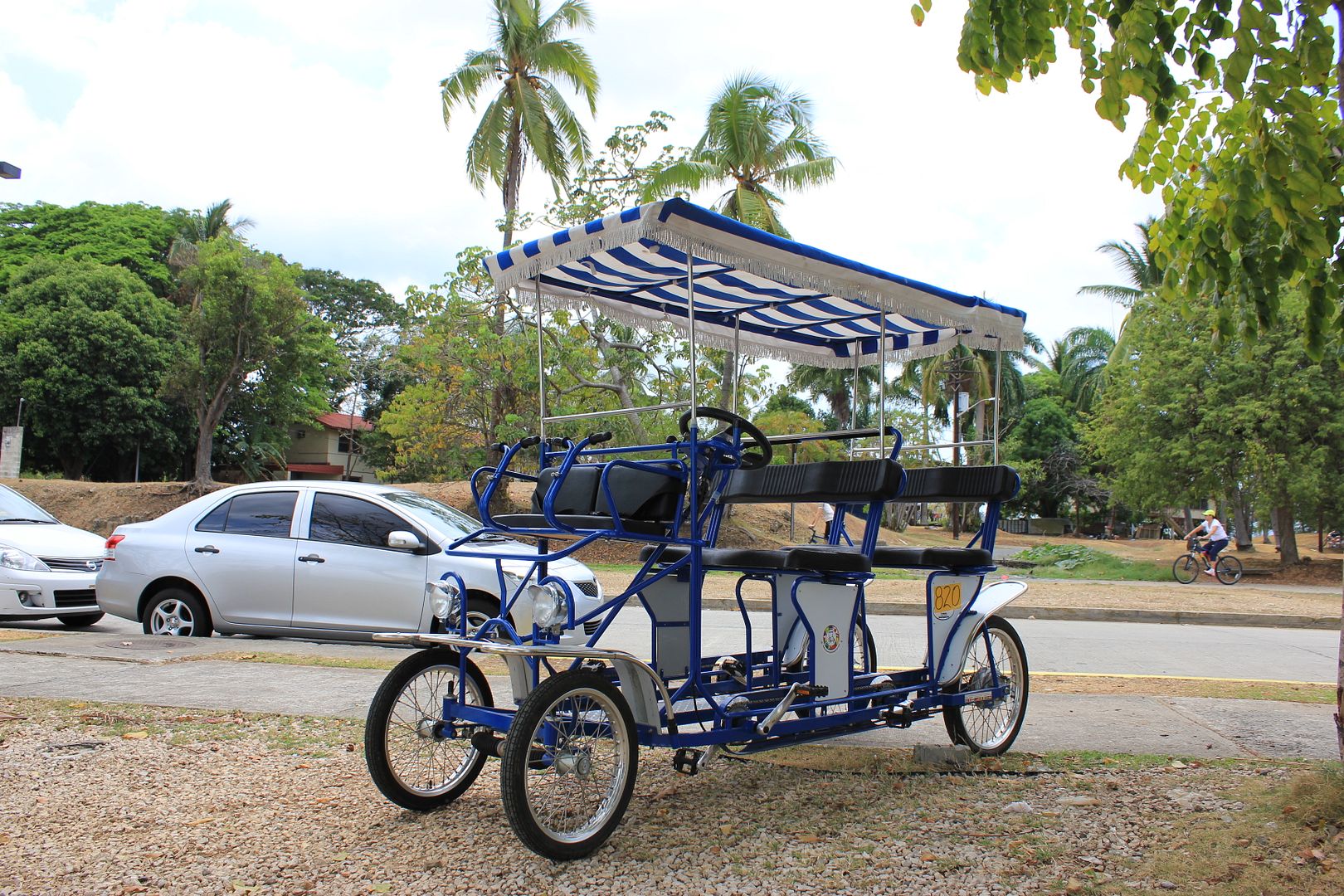 Bicycles For Rent Lingua Franca